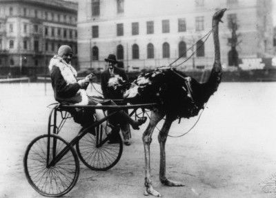 Josephine Baker und Harry Graf Kessler trafen in Berlin aufeinander: Hier Josephine Baker auf dem Pariser Platz um 1920 (Foto: General Photographic Agency/Getty Images)