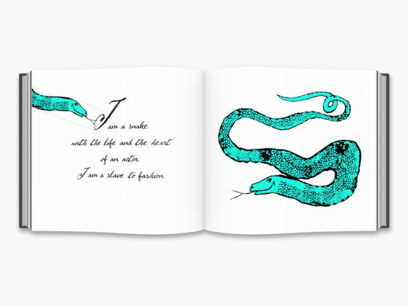 The Autobiography of a Snake: Drawings by Andy Warhol, Thames and Hudson