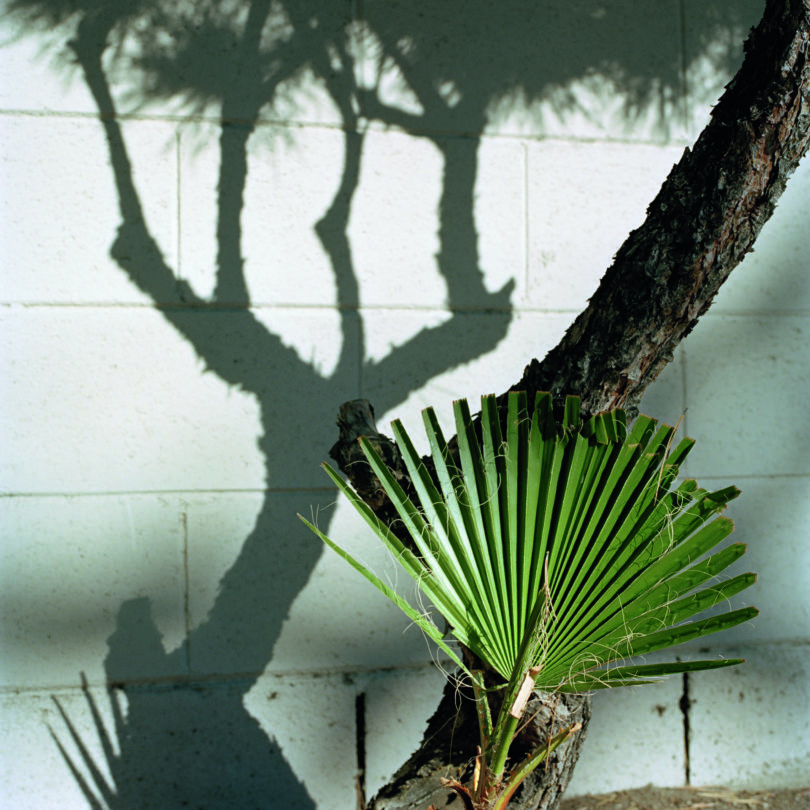 Jason Fulford. Image from Picture Summer on Kodak Film (MACK, 2020). Courtesy of the artist and MACK.