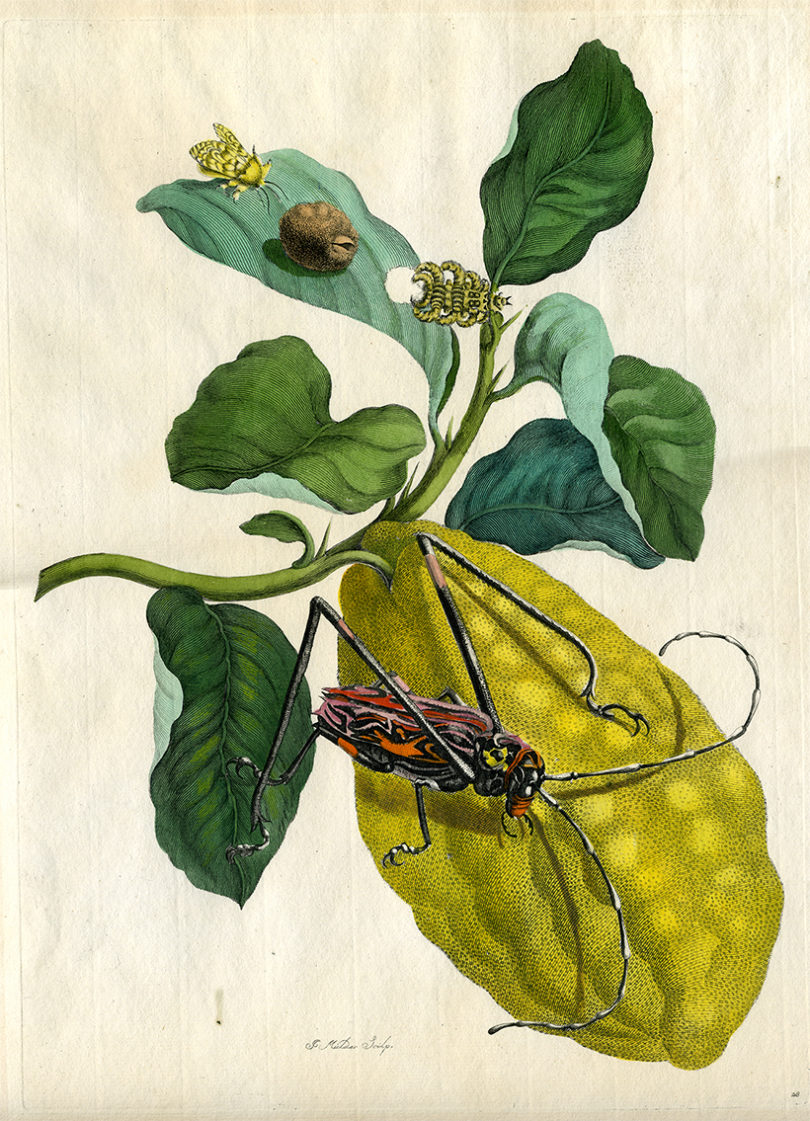 Kunst & Antiquitäten Messe München