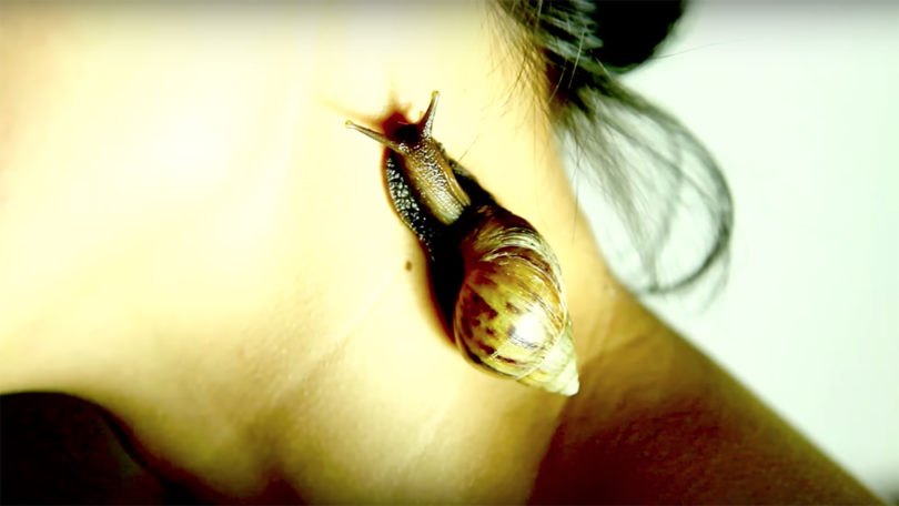 Chang En-Man Fresh Snail Documenta Fifteen