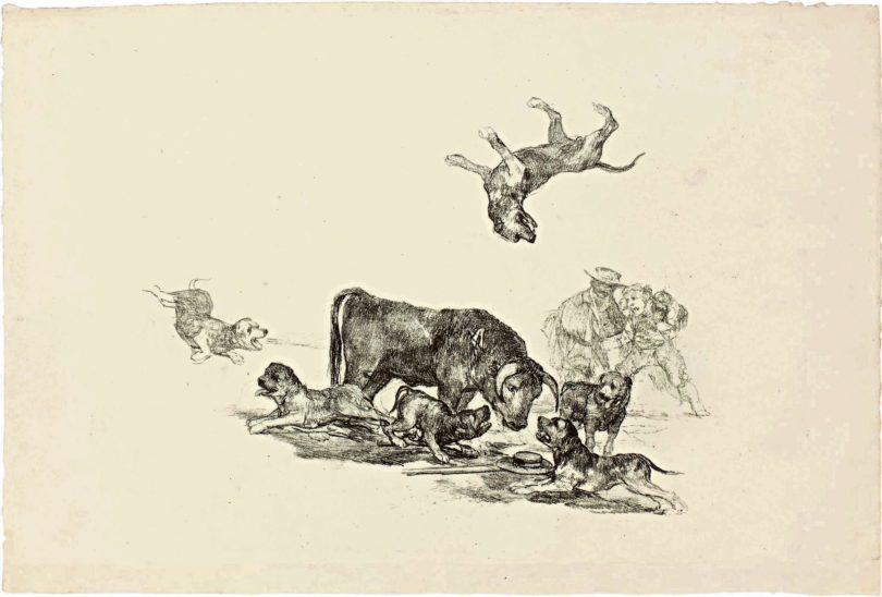 Goya, Stier, Kornfeld Auktion