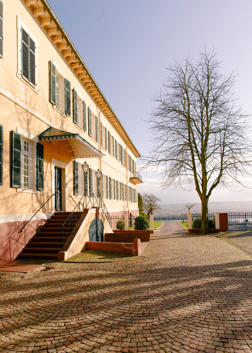 Weingut Teunen Rheingau