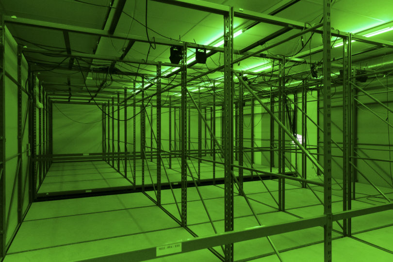 Evita Vasiljeva Impulse Lyon Biennale