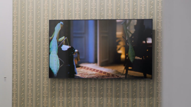 Helga de Alvear M+M Arco