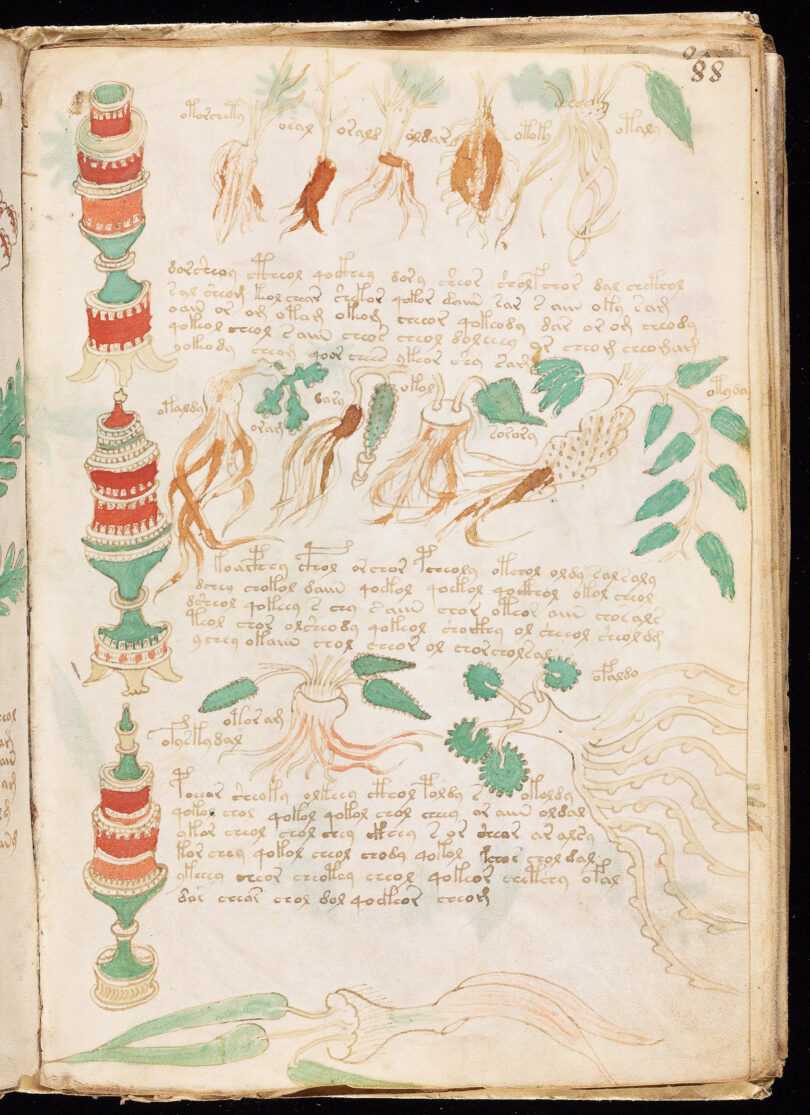 Voynich Manuskript Pflanzen Mittelalter