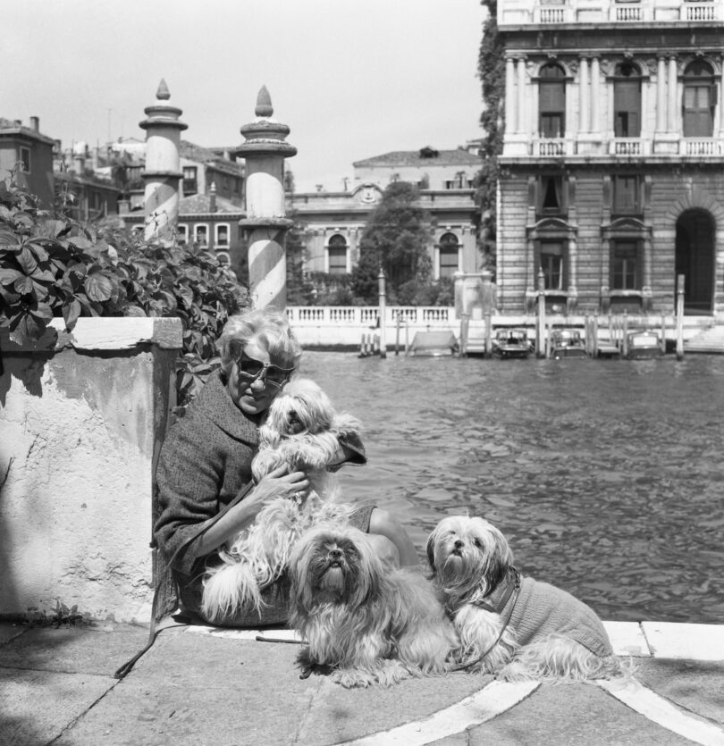 Peggy Guggenheim Venedig