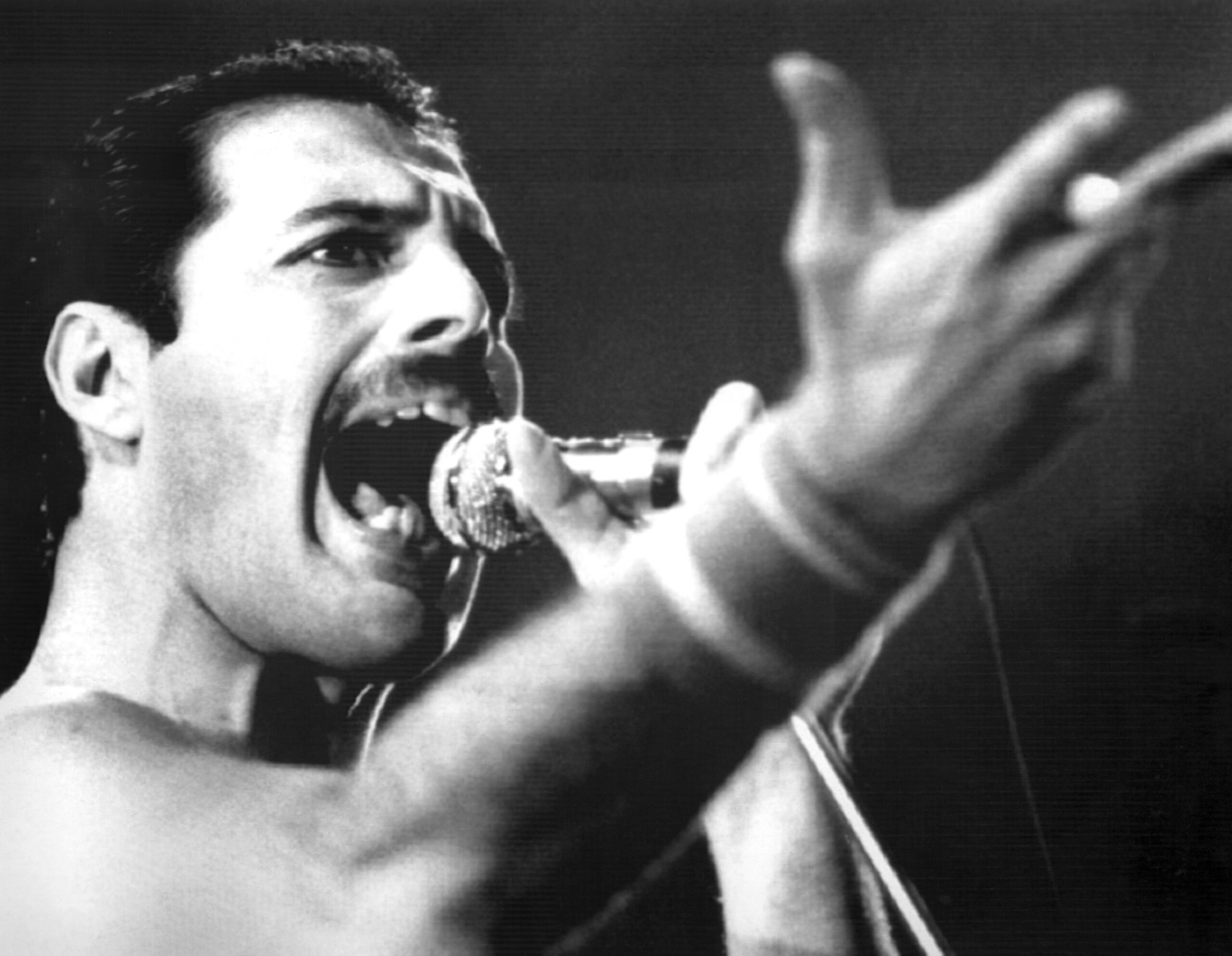 Легендарные исполнители. Freddie Mercury. Фредди Меркьюри фото. Фредди Меркури 1975. Фредди Меркури поет.