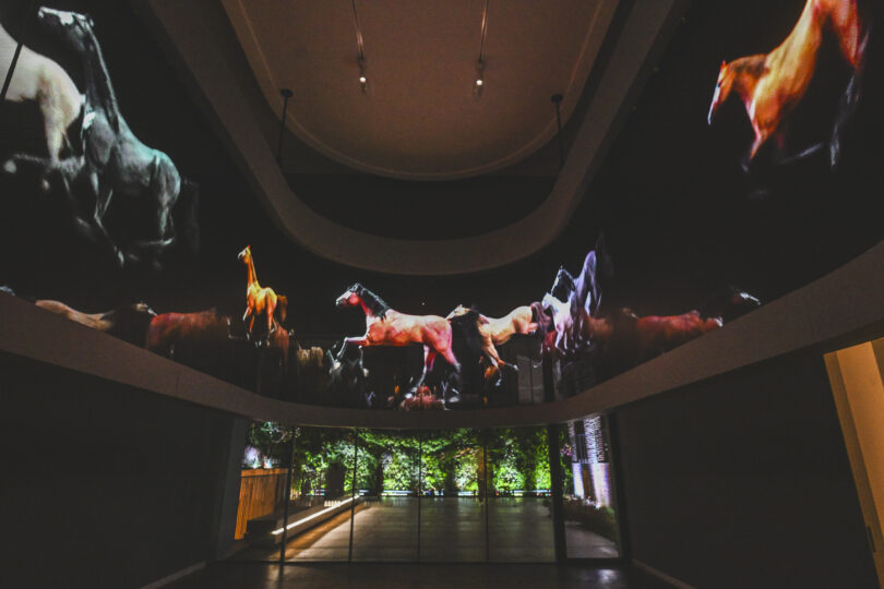 Hortensia Herrero Valencia Mat Collishaw