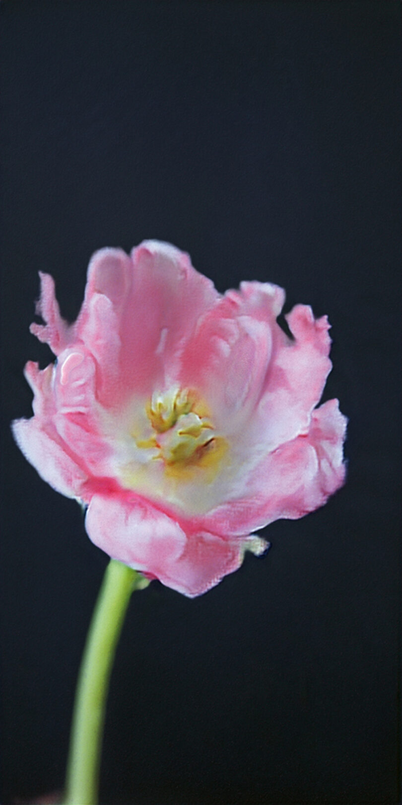 Mit ihren Blumenbildern erinnert die Britin Anna Ridler nur vordergründig an den berühmten Tulpen-Börsencrash des 17. Jahrhunderts. Ihre KI-Arbeit ist unauflöslich mit der Kryptowährung verbunden und macht die Schwankungen sichtbar. © Courtesy Anna Rodler und Galerie Nagel Draxler Berlin/Köln/München