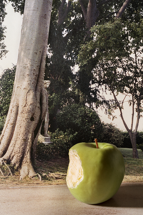 Kathrin Sonntags Fotografie eines Apfels ist aktuell in der Ausstellung „Size Matters. Größe in der Fotografie“ im Kunstpalast Düsseldorf zu sehen
