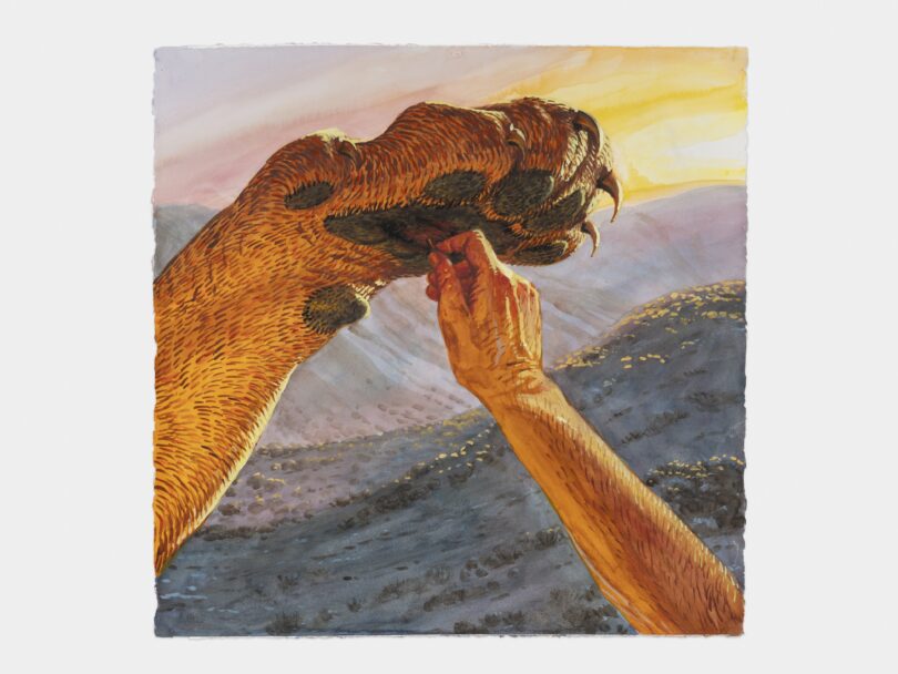 Das für die Zähmung des Löwen so zentrale Motiv des Dornausziehens hat Walton Ford mehrfach gemalt