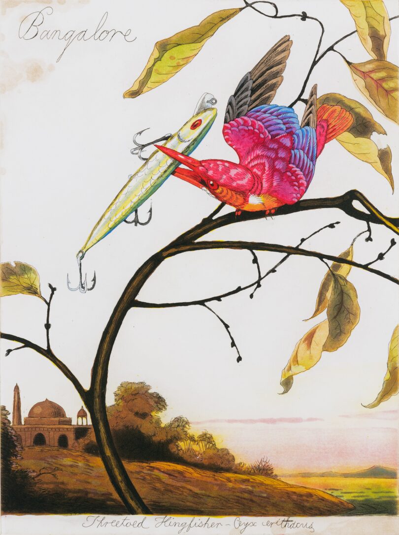 In seinen älteren Arbeiten spielt Walton Ford mit dem Stil historischer Naturkundler. „Bangalore“ (2004) zeigt einen Eisvogel mit Fischköder.