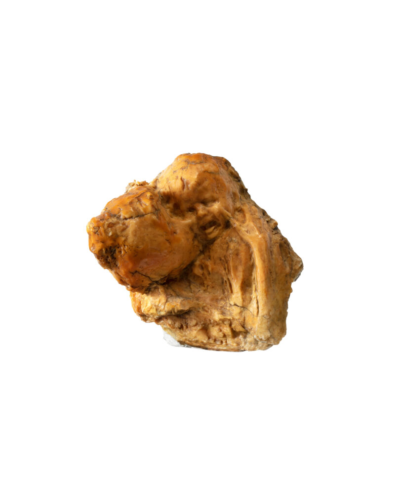 Innige Mutterliebe in Wachs über Gips, von Rosso „Goldenes Zeitalter“ betitelt, 1886