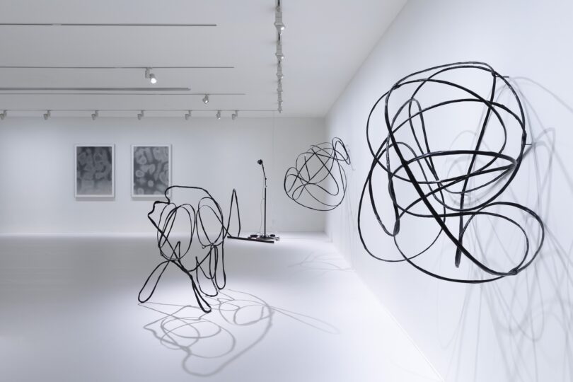 White Rabbit Gallery in Sydney