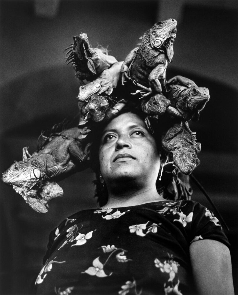 Werk „Nuestra Señora de las Iguanas“ von Graciela Iturbide aus dem Jahr 1979