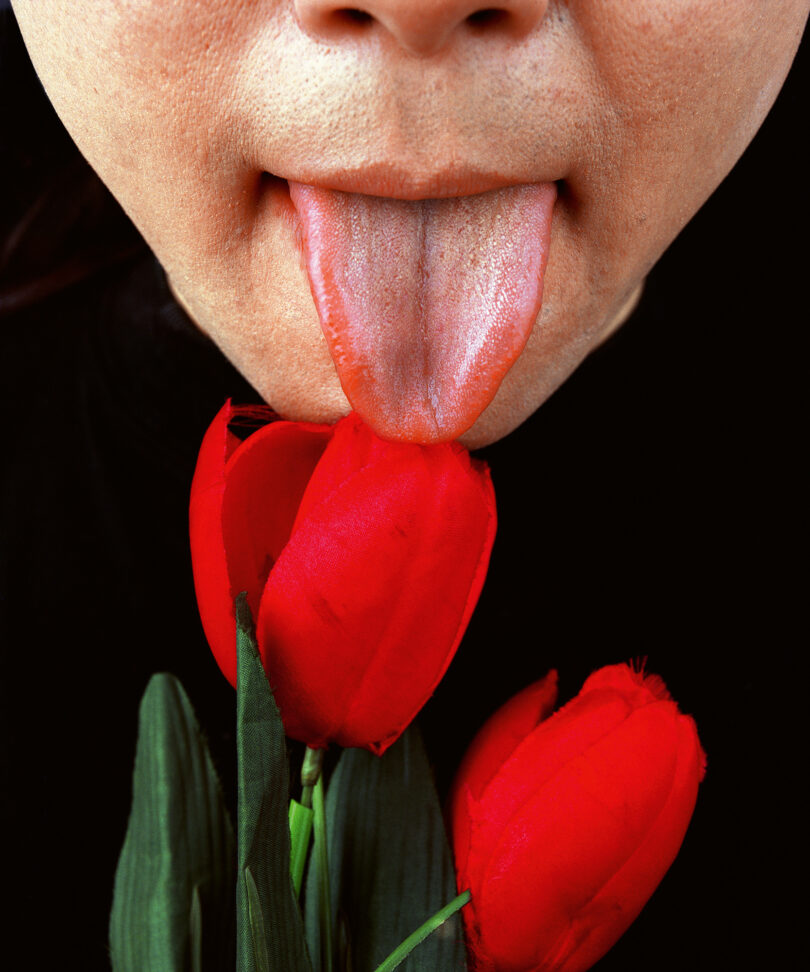 Cang Xin Walther Collection