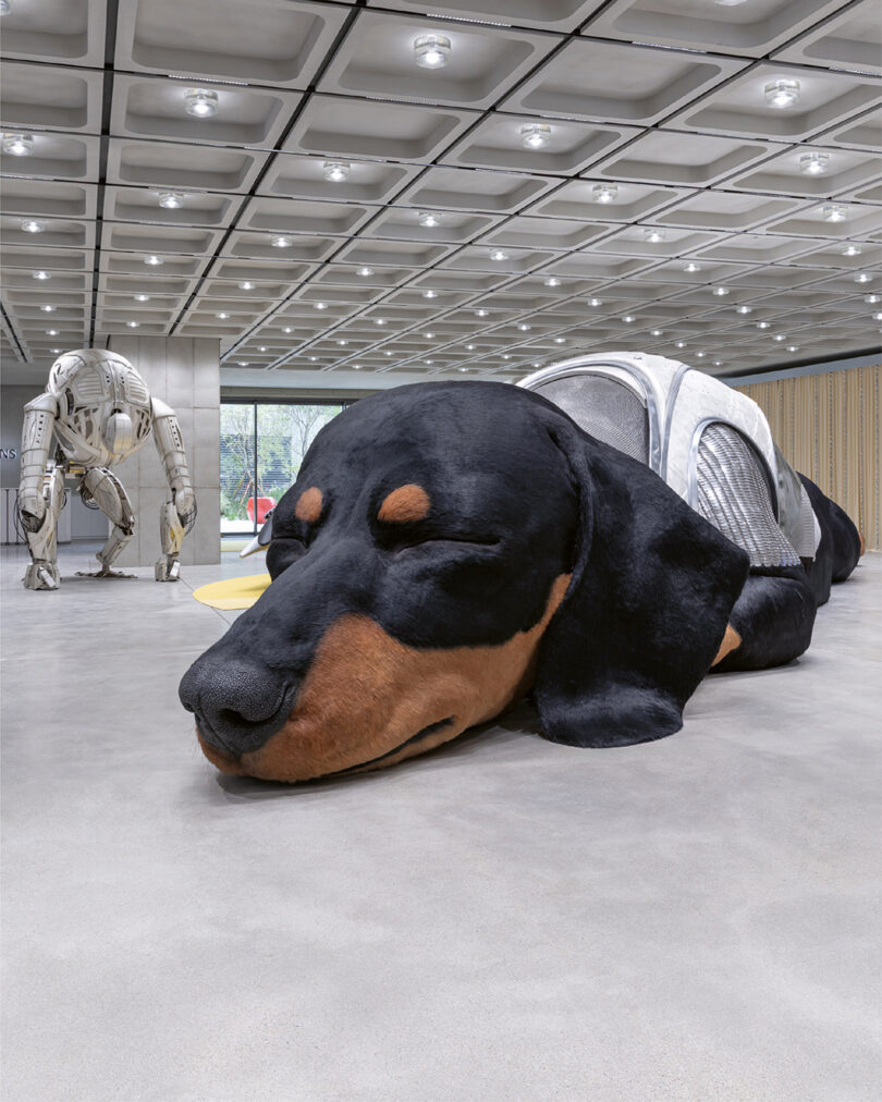 Der schlummernder Riesendackel im Haus Nowhere