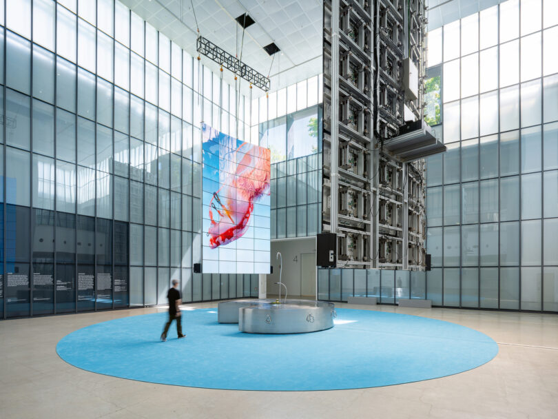 Medienkünstlerin Tzusoo bringt den Screen im MMCA zum Flimmern