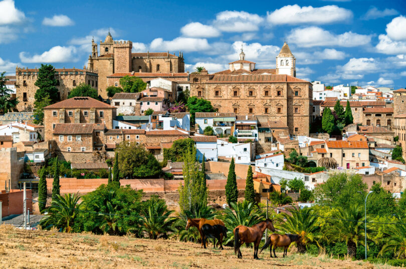 Seit 1986 ist die Altstadt von Cáceres mit ihren gotischen Herrenhäusern und Renaissancepalästen Unesco-Weltkul- turerbe.