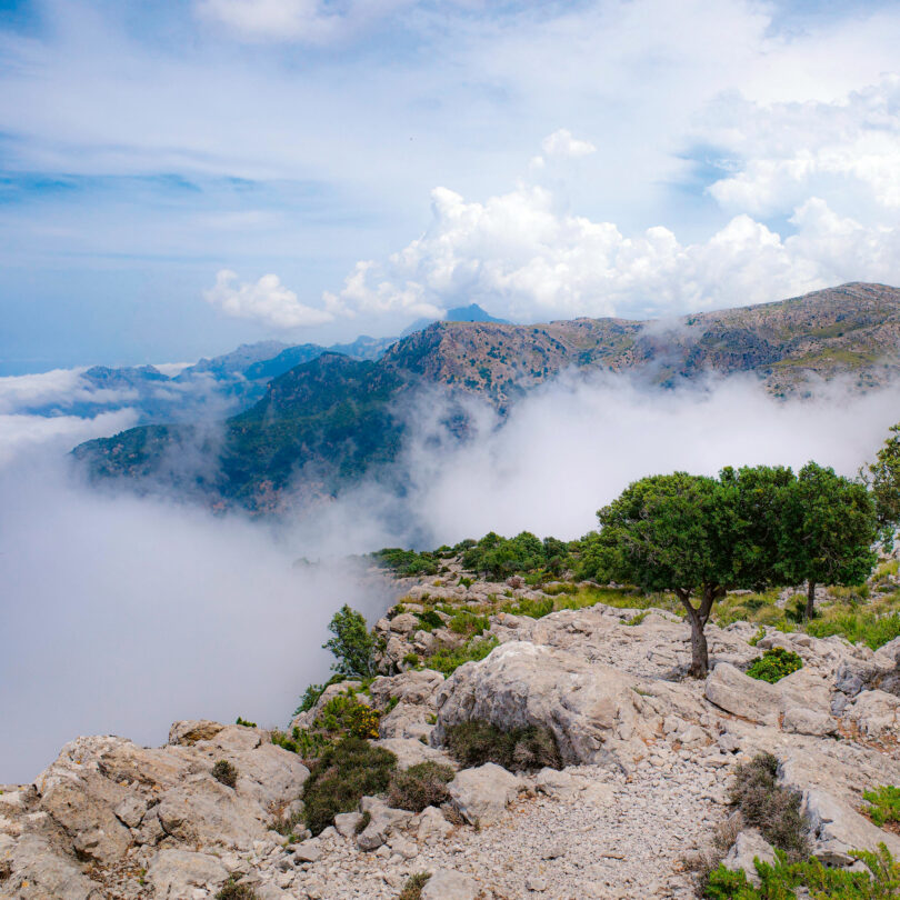 Das Bild zeigt eine neblige Felsenlandschaft.