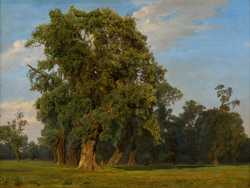 Auf dem Bild von Waldmüller ist eine Wiese mit einem großen Baum zu sehen