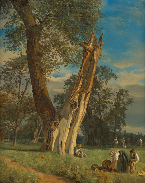 Der Prater in Wien, zu der Zeit noch ein urtümlicher Auenwald, zog den Künstler besonders an. Die „Partie aus dem Prater“ schuf der Maler im Jahr 1831. © Johannes Stoll / Belvedere, Wien