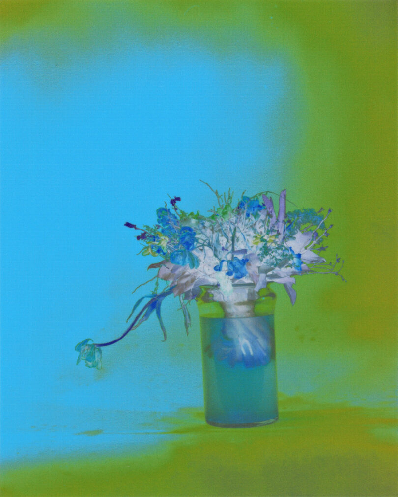 Auf dem Foto von Walter Schels sieht man einen blau-günen Blumenstrauß
