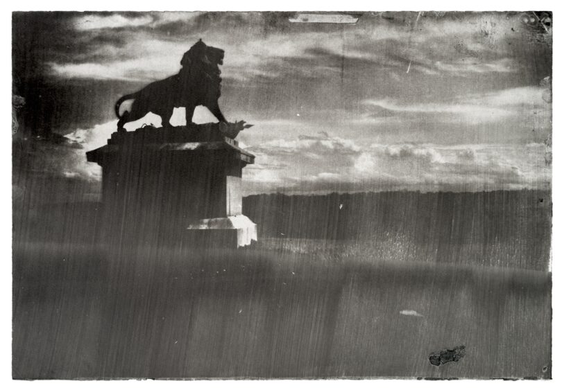 Eine Schwarz-Weiß-Fotografie von Marcel von Eden. Links ist eine Löwen-Statue zu sehen