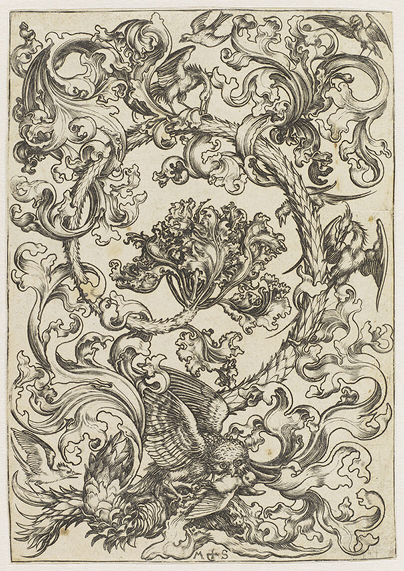 Naturgetreu hält der Stich von Martin Schongauer einen Steinkauz mit Laubwerk fest