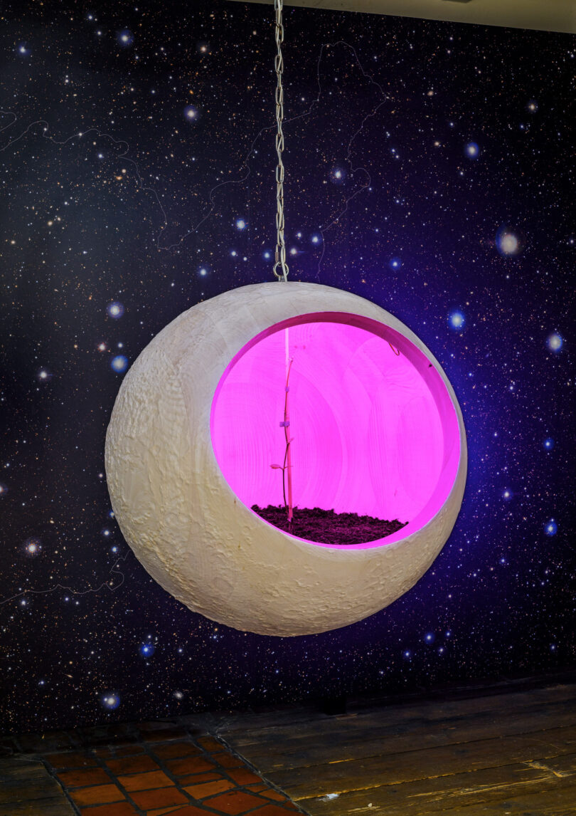 Christian Kosmas Mayer, „Moon Tree