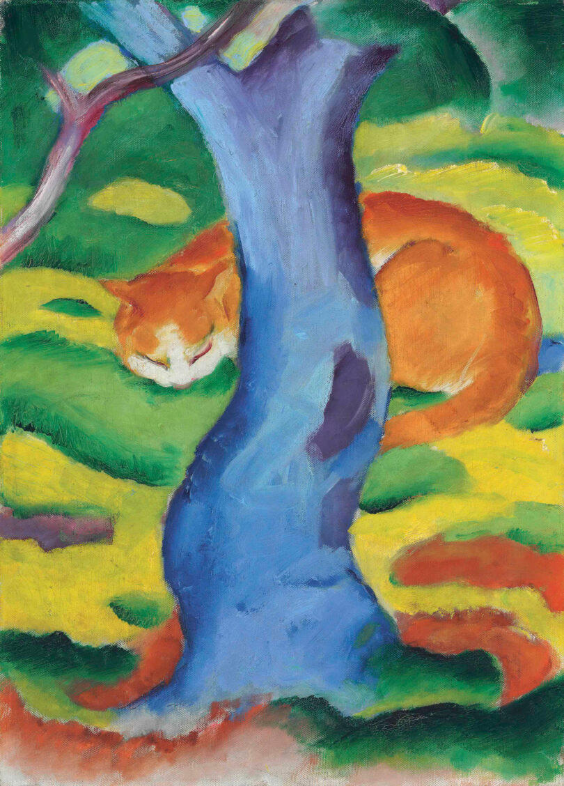 Orangene Katze schlafend auf einer grünen Wiese.